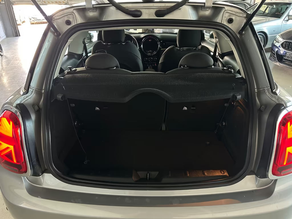 Mini Mini Electric