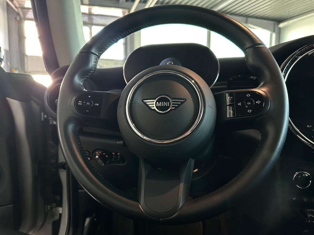 Mini Mini Electric