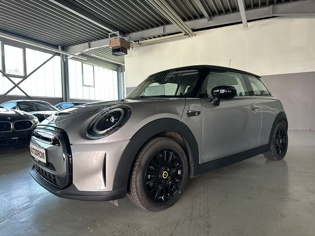 Mini Mini Electric