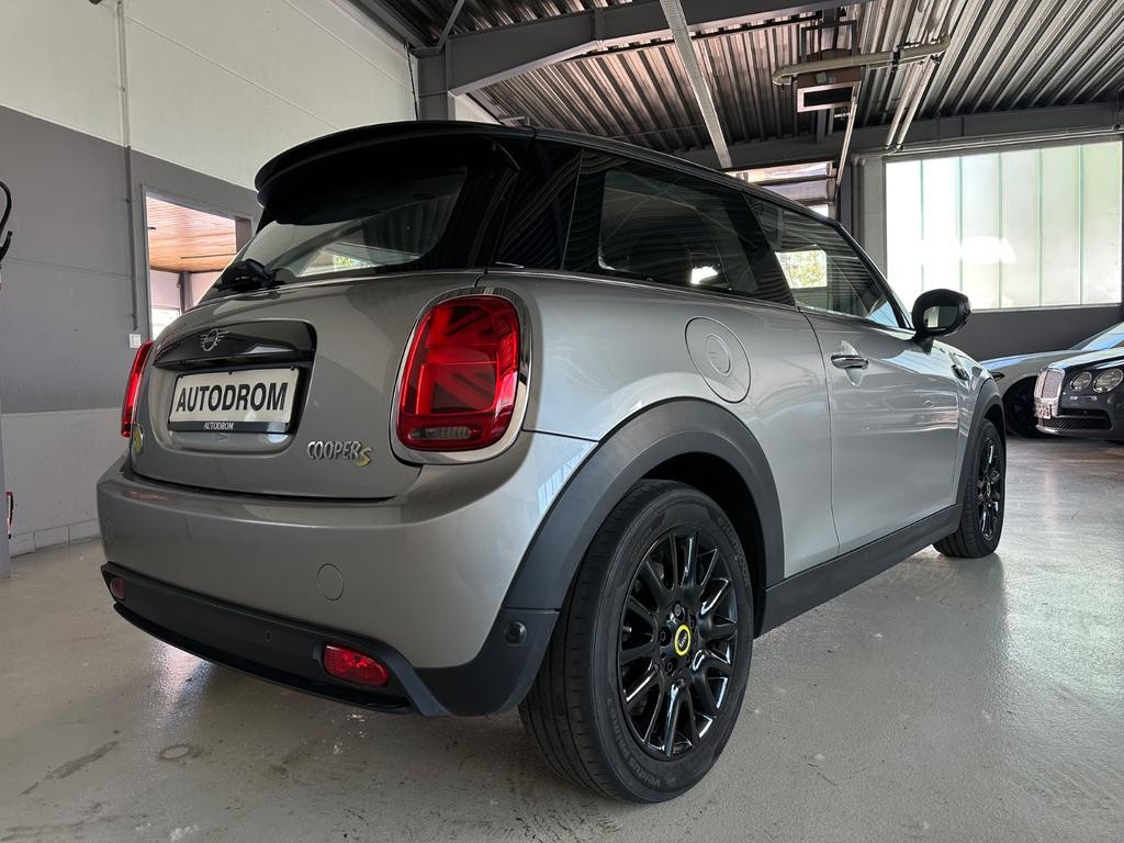 Mini Mini Electric