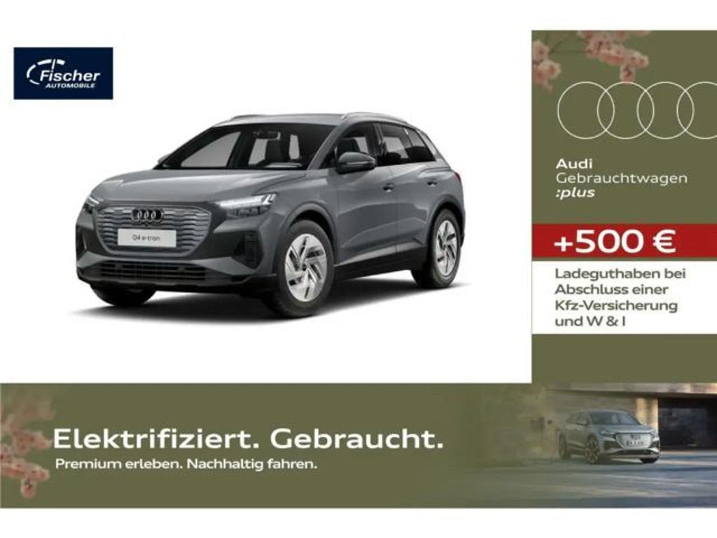Audi Q4 e-tron W-Pumpe/Matrix/RFK/Sportsitze