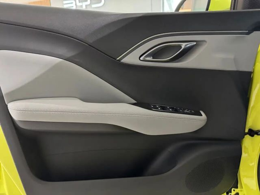 BYD Dolphin Surf