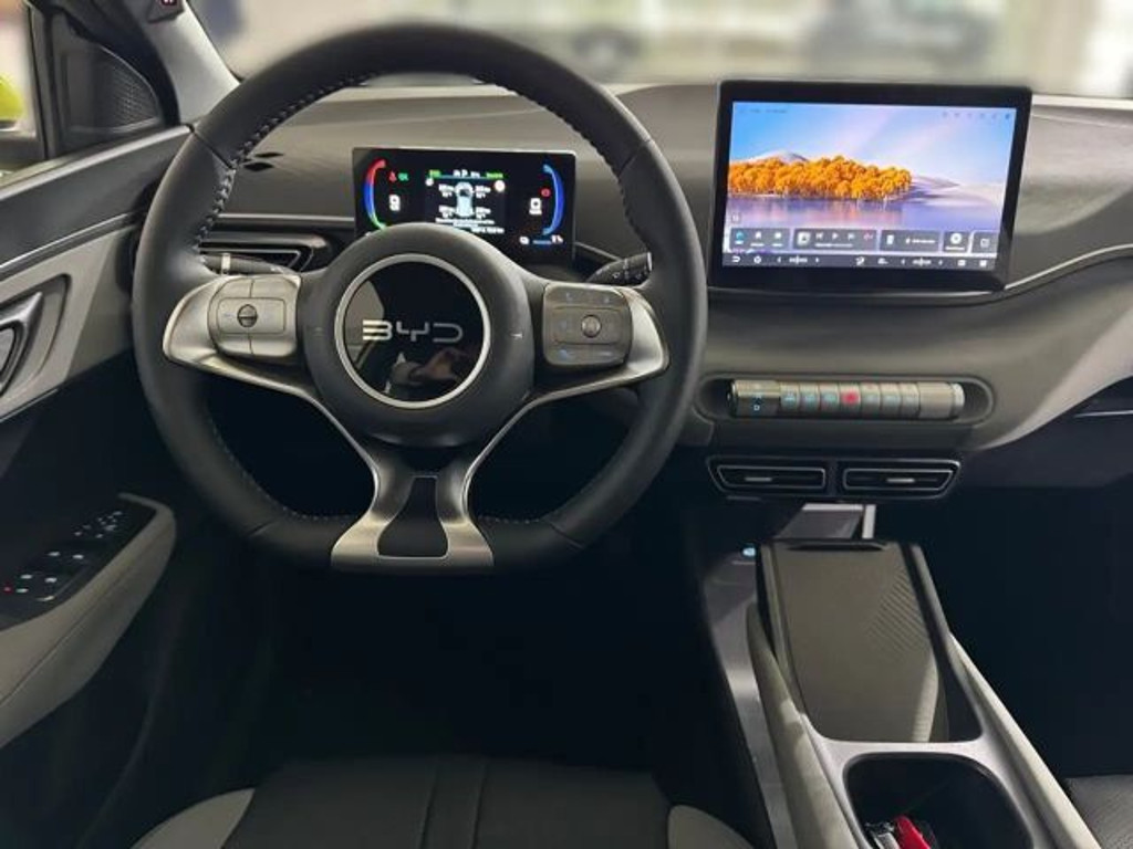 BYD Dolphin Surf