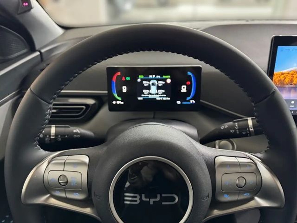 BYD Dolphin Surf