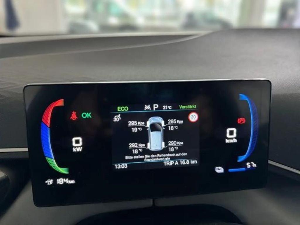 BYD Dolphin Surf