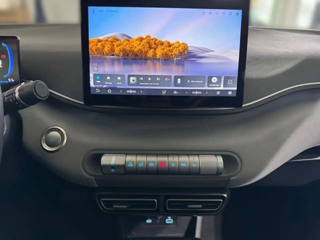 BYD Dolphin Surf