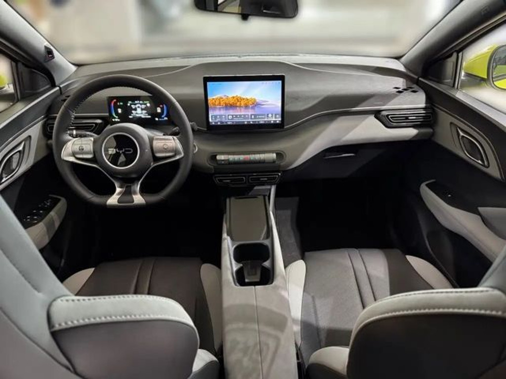 BYD Dolphin Surf