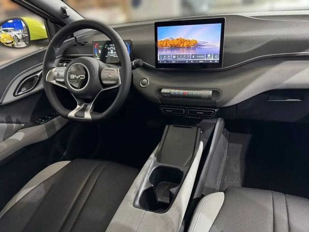BYD Dolphin Surf