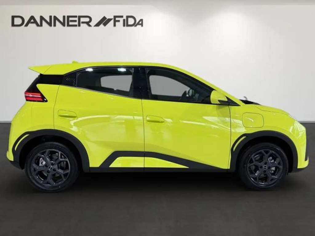 BYD Dolphin Surf