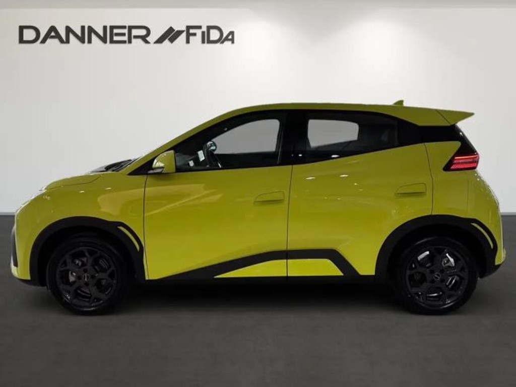 BYD Dolphin Surf
