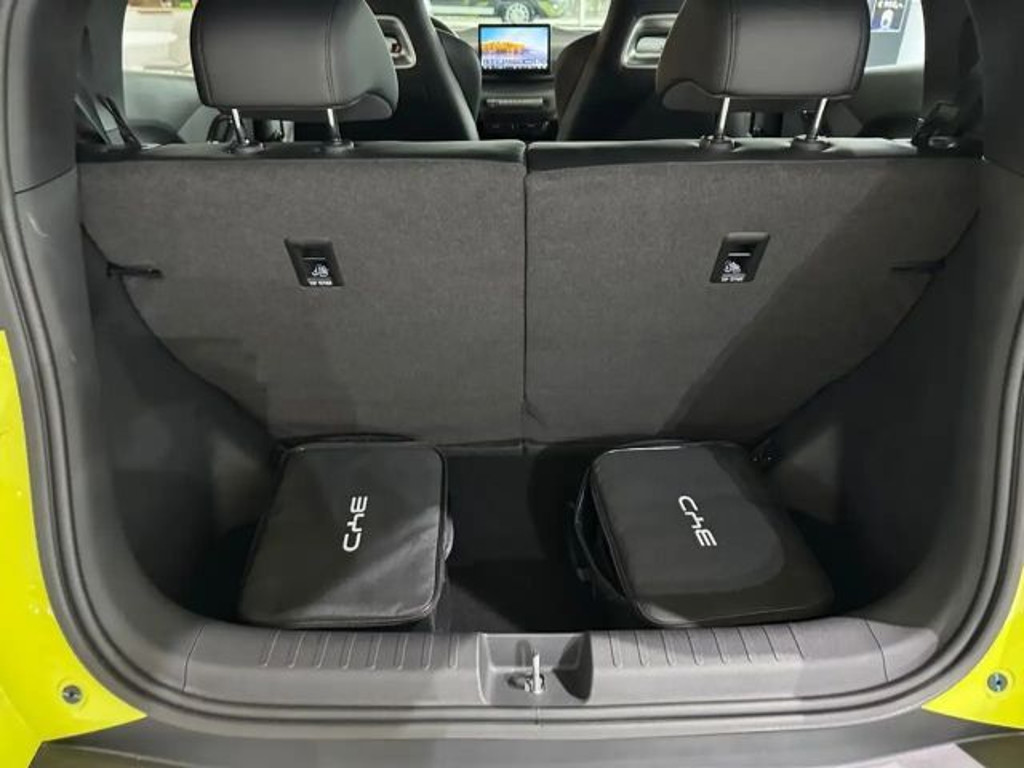 BYD Dolphin Surf