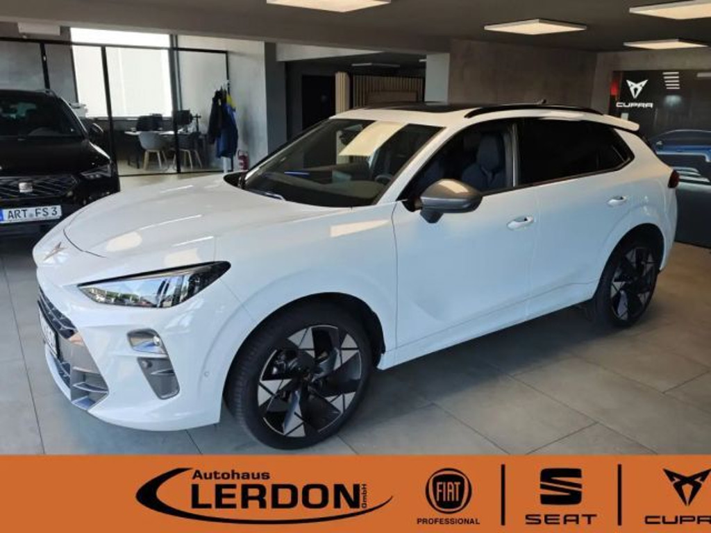 Cupra Terramar 1.5eTS IDSG  HeadUp|Sennh|Pano