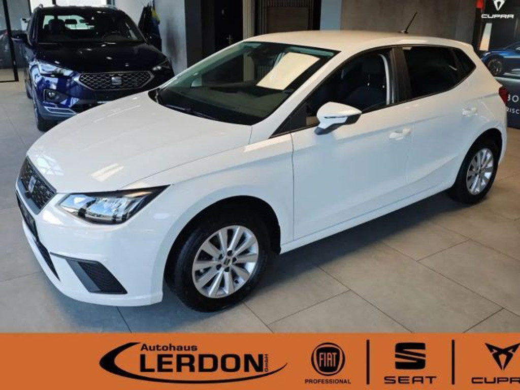 Seat Ibiza Style