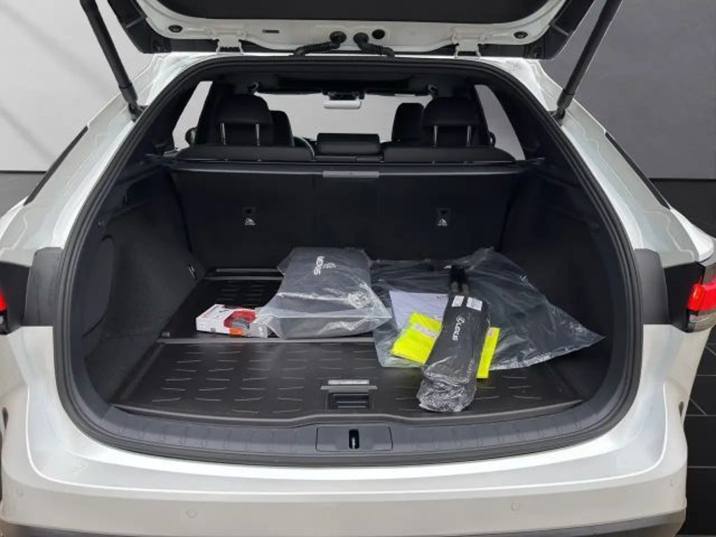 Lexus RX-Serie