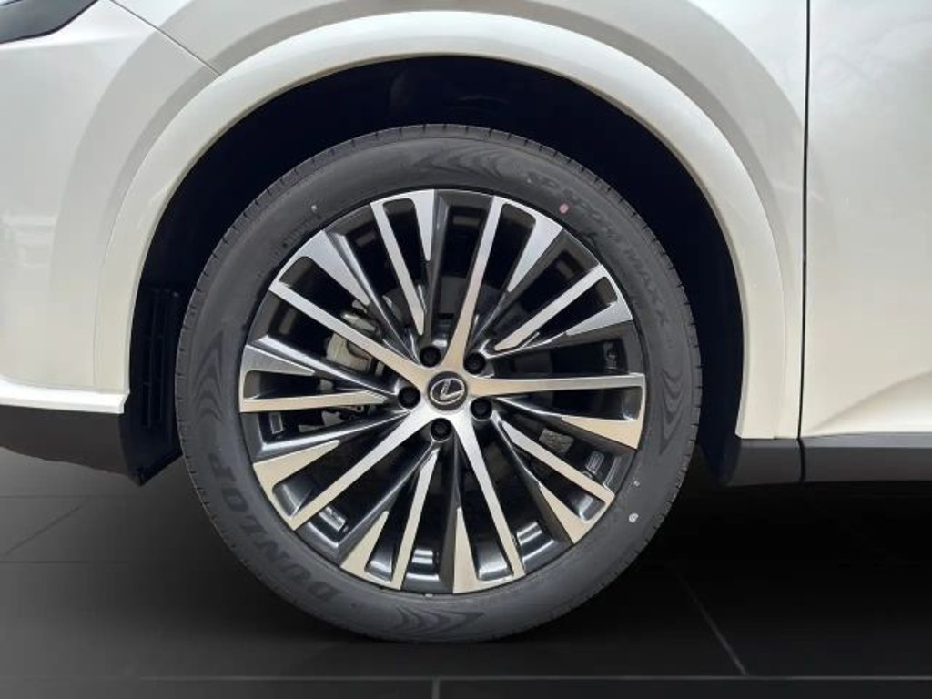 Lexus RX-Serie