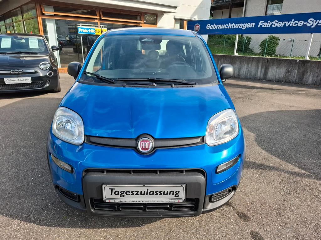 Fiat Panda Cross