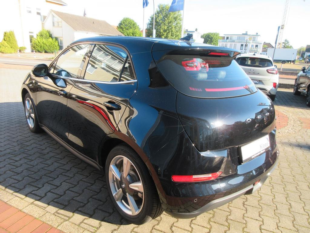 Ora Funky Cat