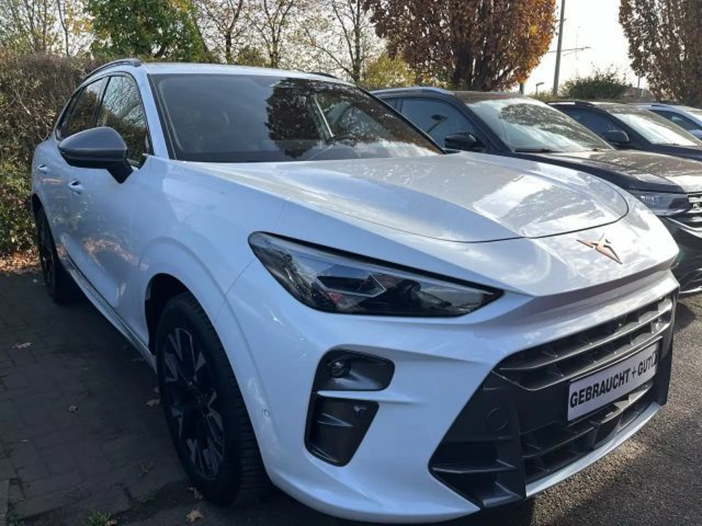 Cupra Terramar