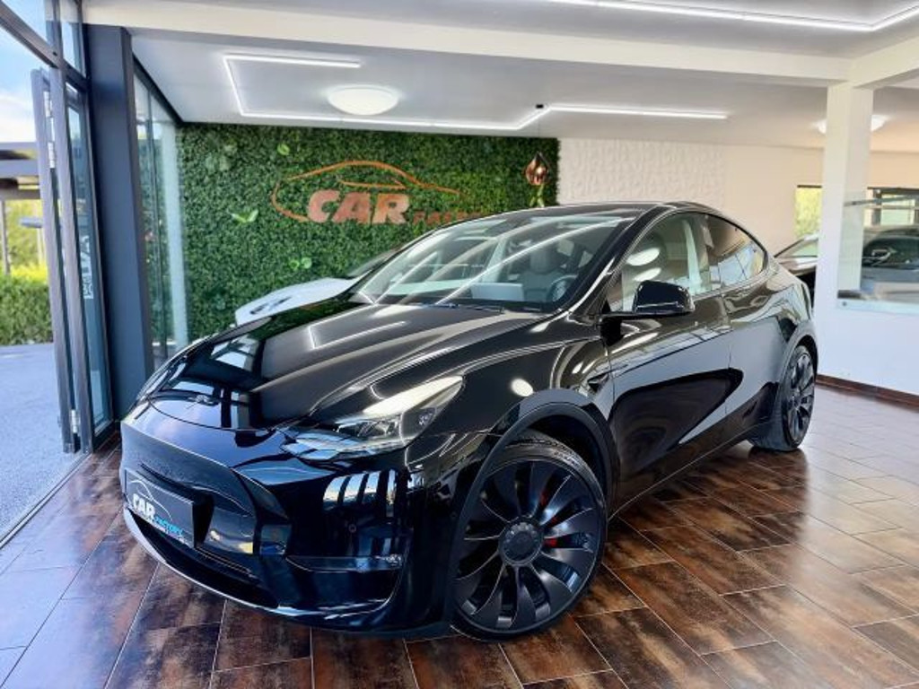 Tesla Model Y Performance