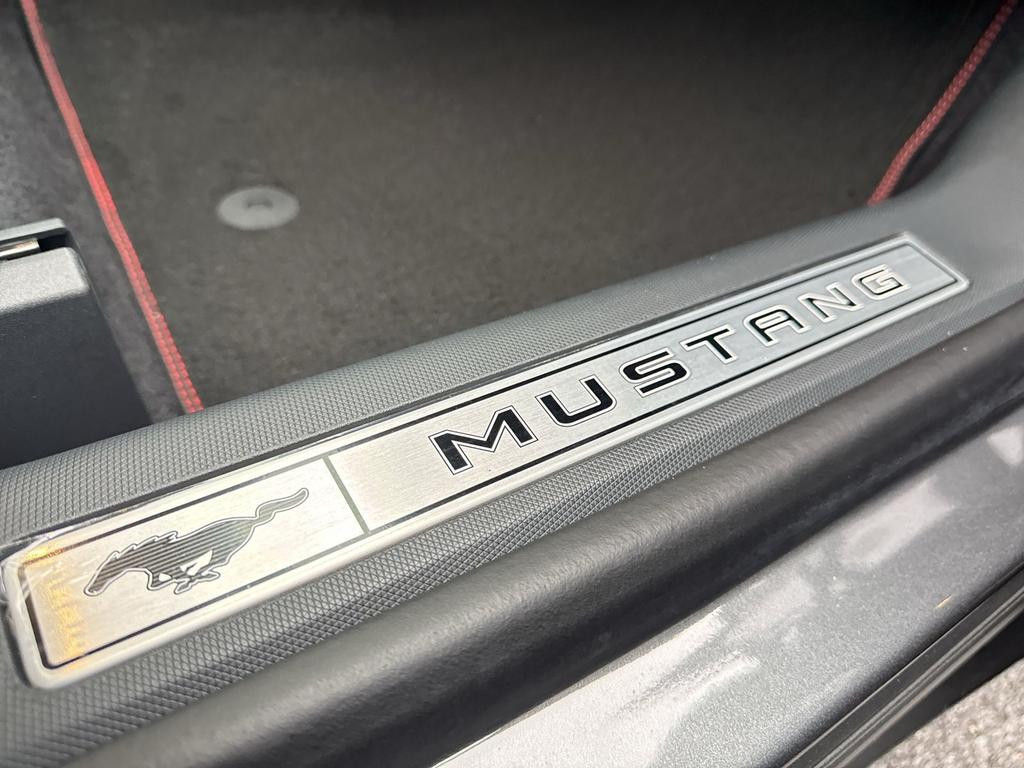 Ford Mustang Mach-E