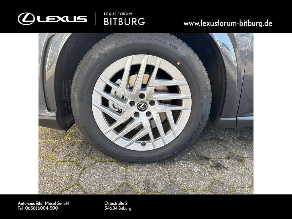 Lexus RX-Serie