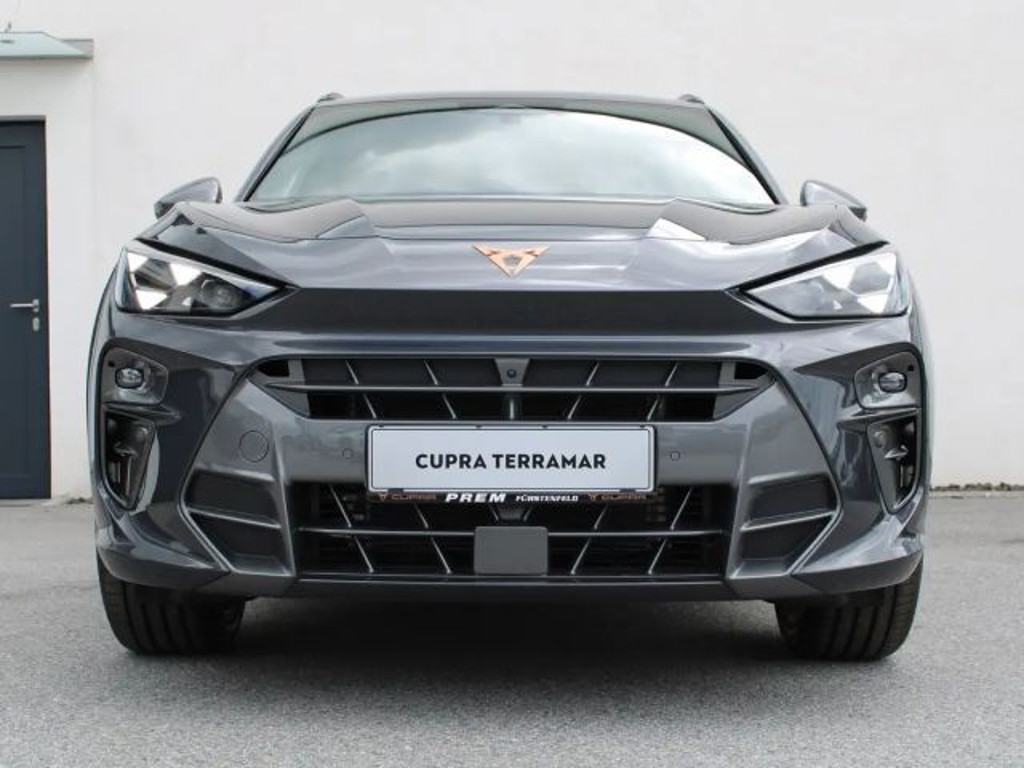 Cupra Terramar 1.5 e-TSI 150 PS DSG mit vielen Extras!
