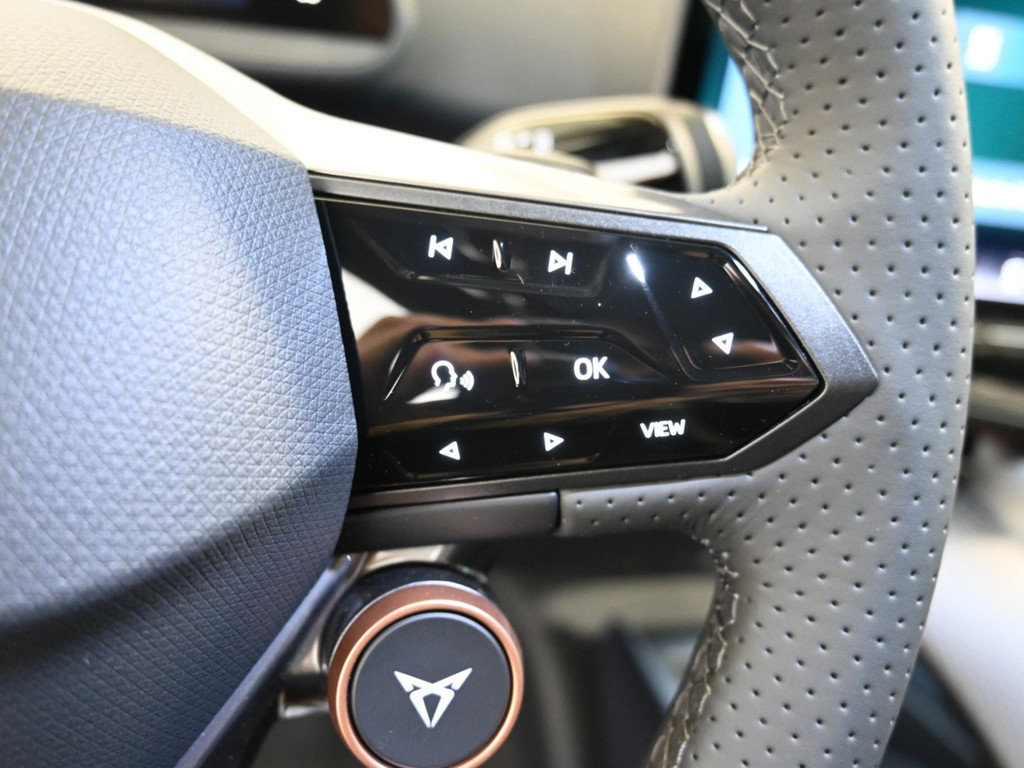 Cupra Tavascan