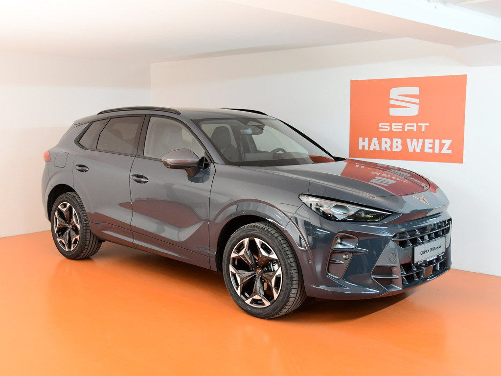 Cupra Terramar