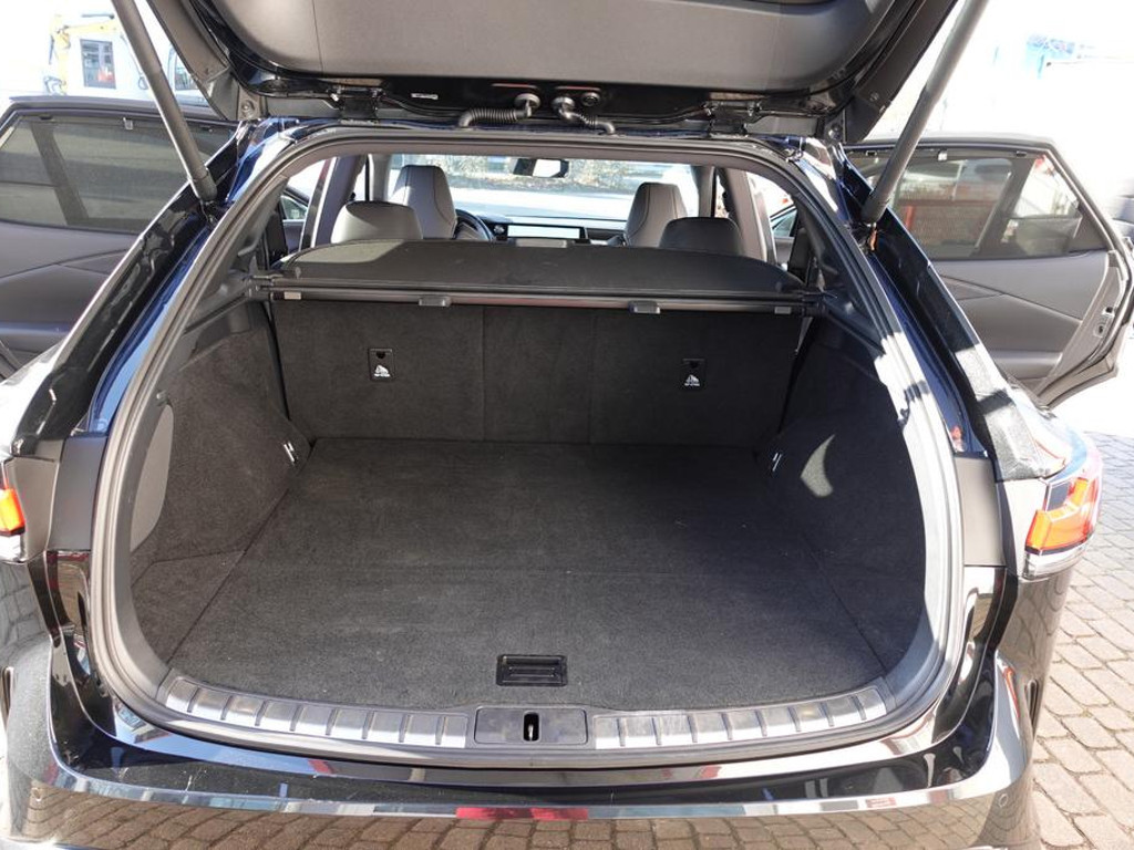 Lexus RX-Serie