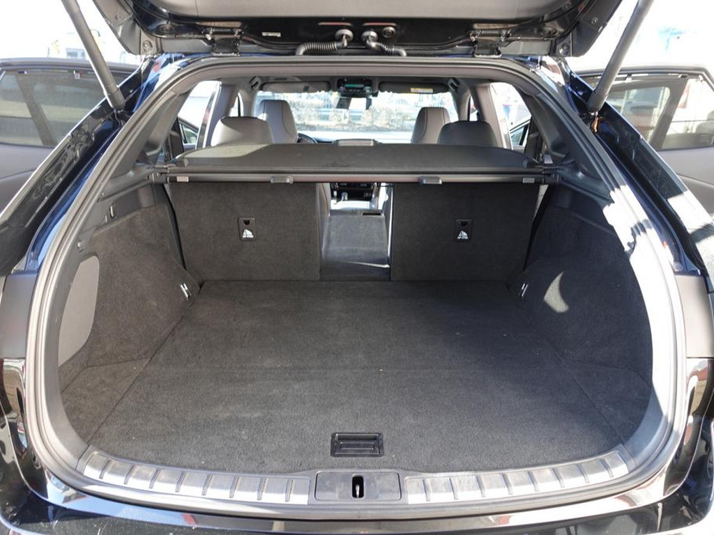 Lexus RX-Serie