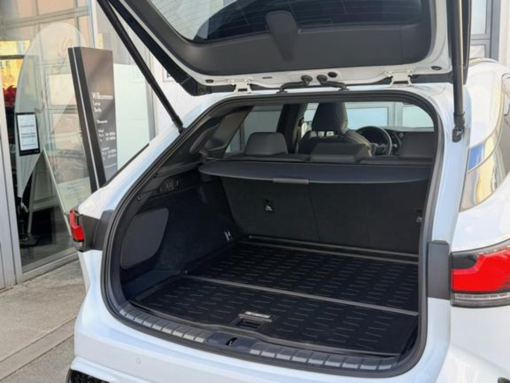 Lexus RX-Serie