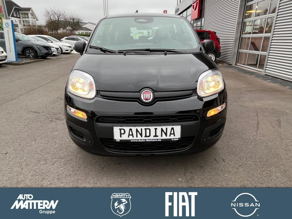 Fiat Panda Icon