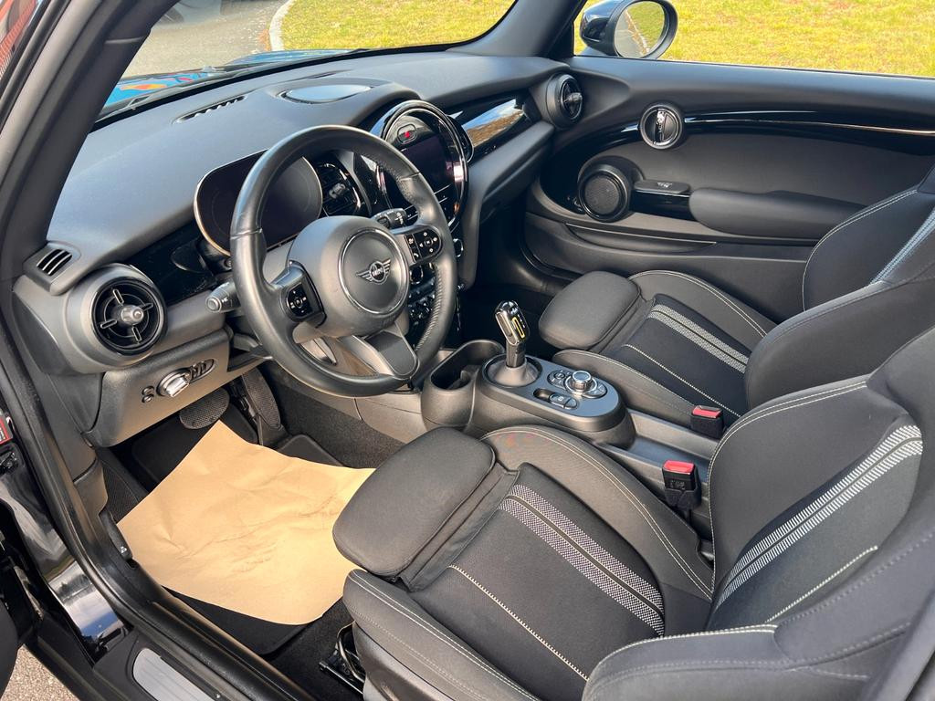Mini Mini Electric