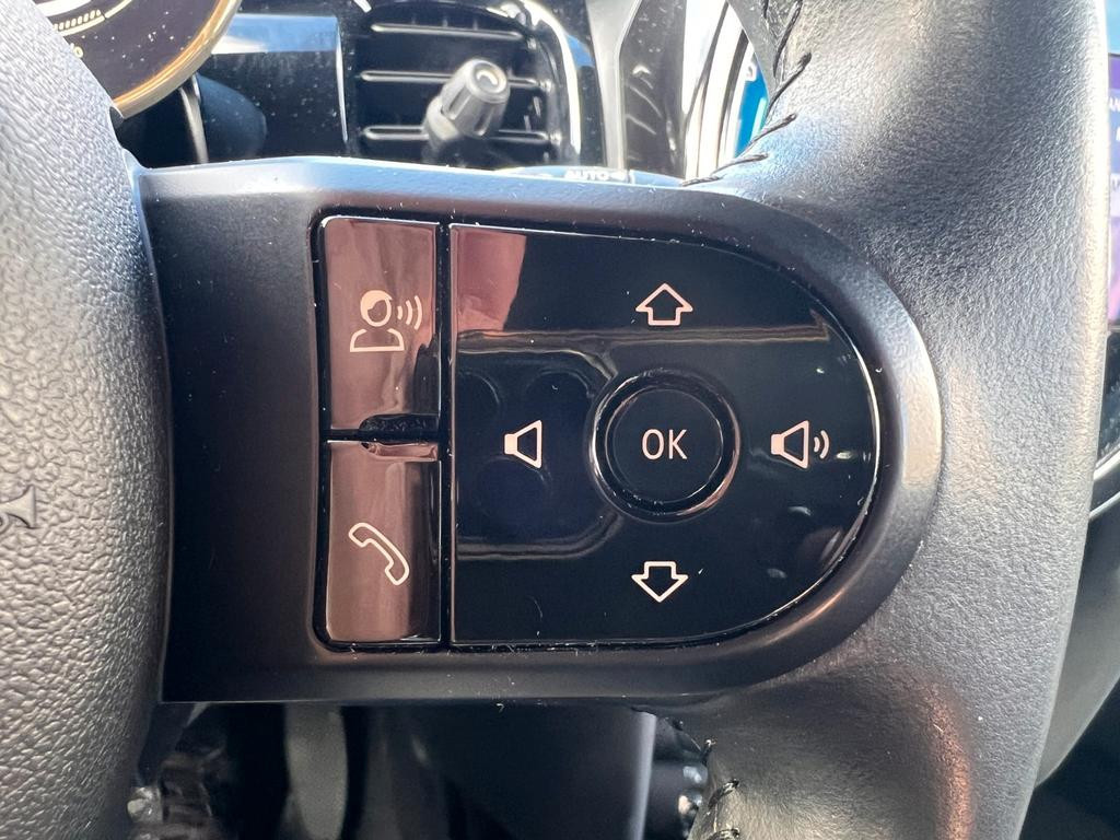 Mini Mini Electric