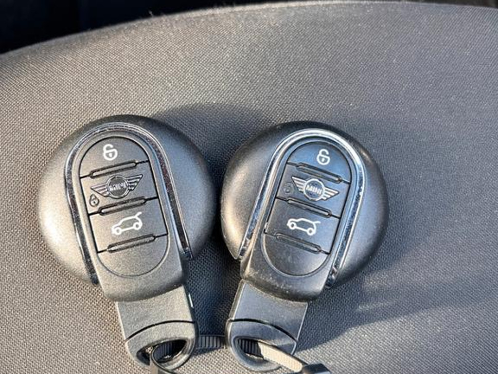 Mini Mini Electric