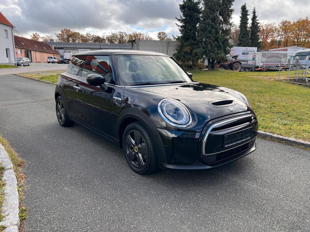 Mini Mini Electric