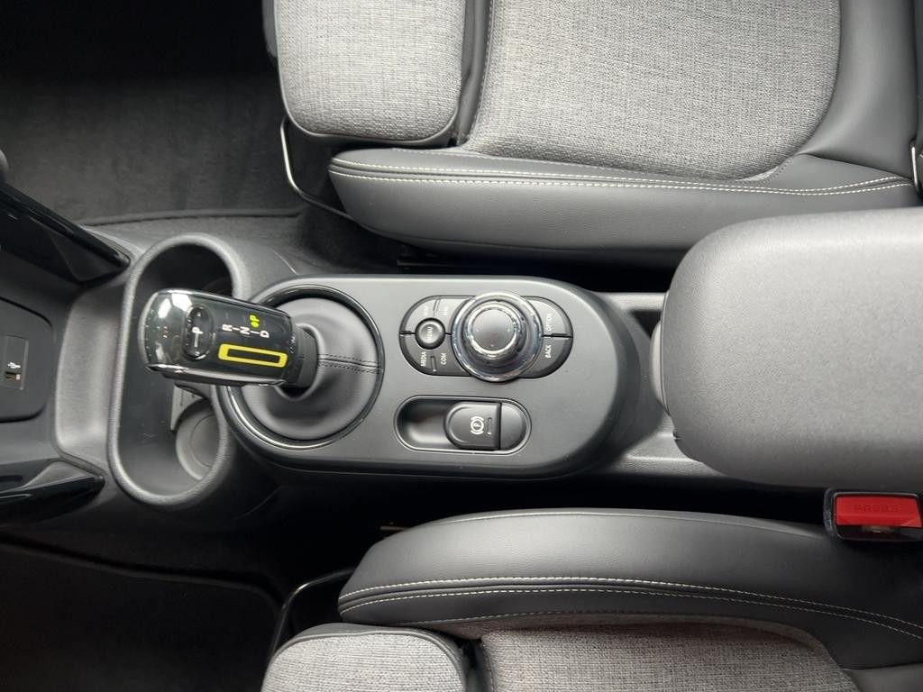 Mini Mini Electric