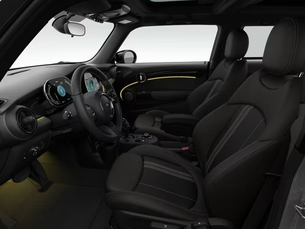 Mini Mini Electric