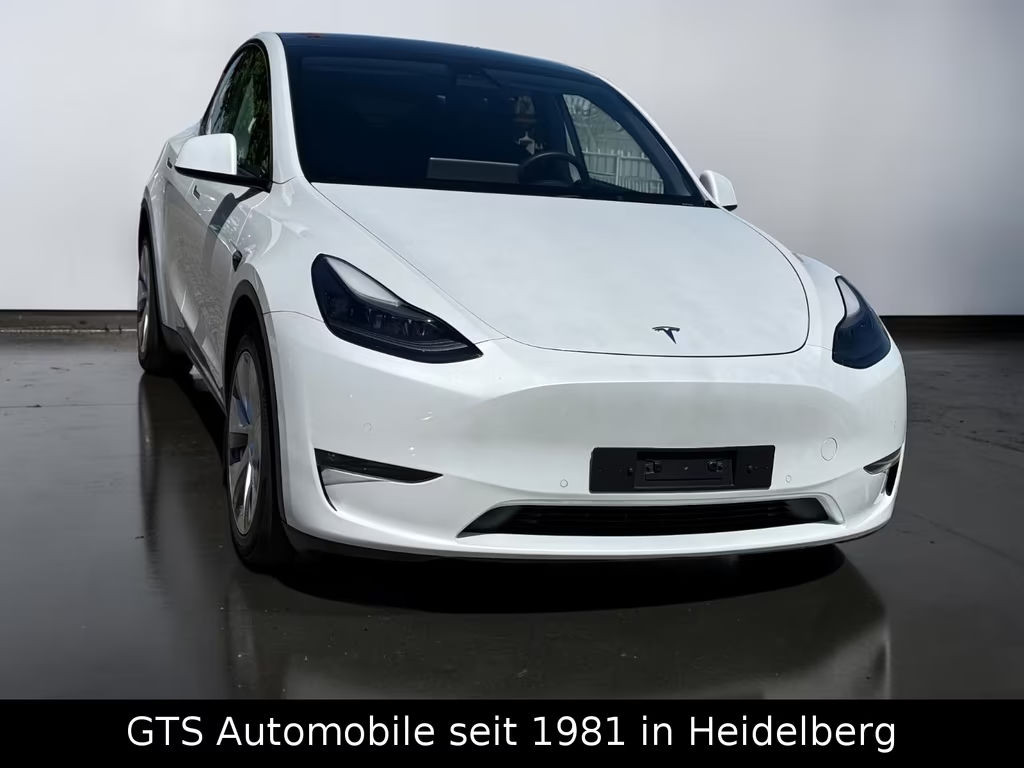 Tesla Model Y Long Range Dual Motor AWD