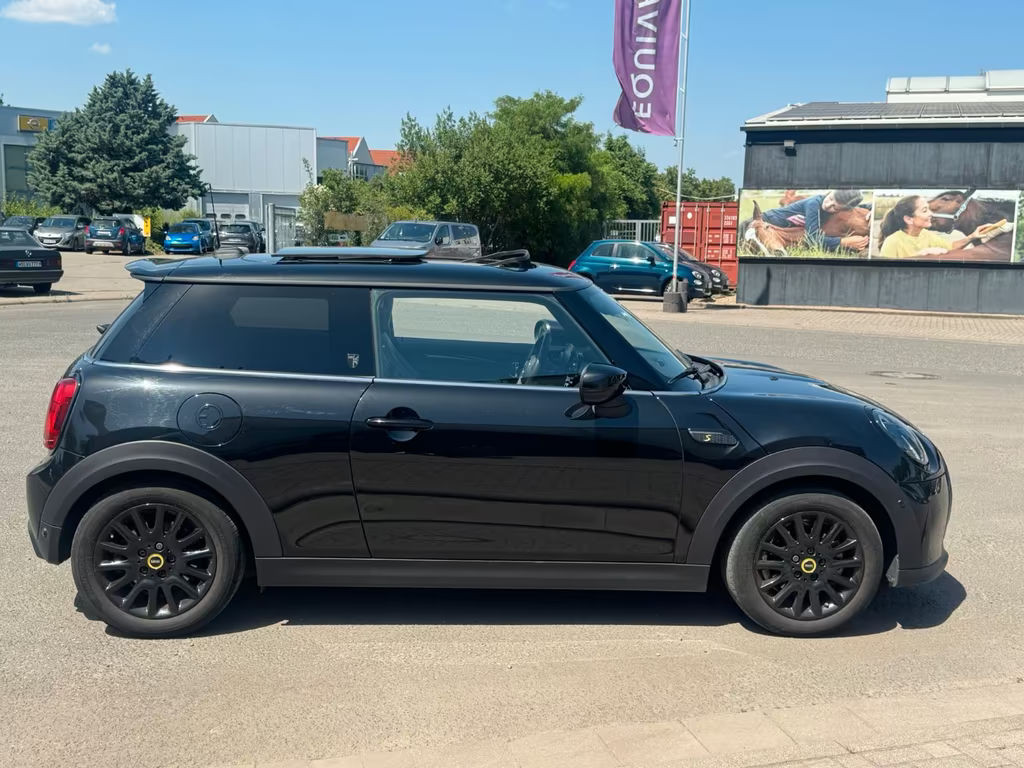 Mini Mini Electric