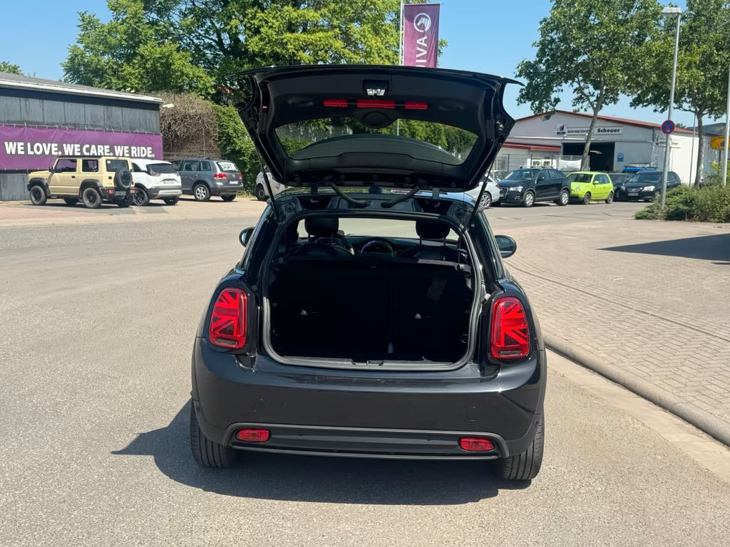 Mini Mini Electric