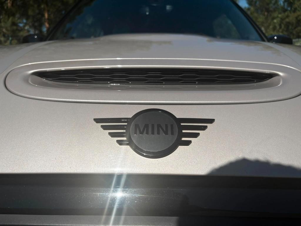 Mini Mini Electric