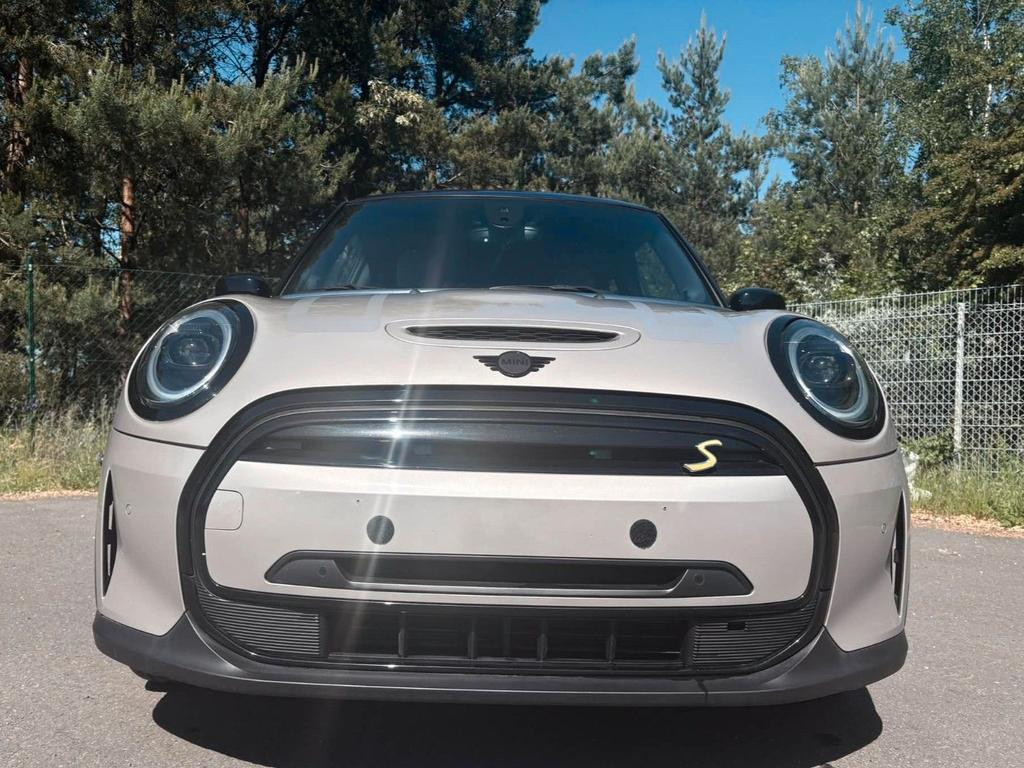 Mini Mini Electric