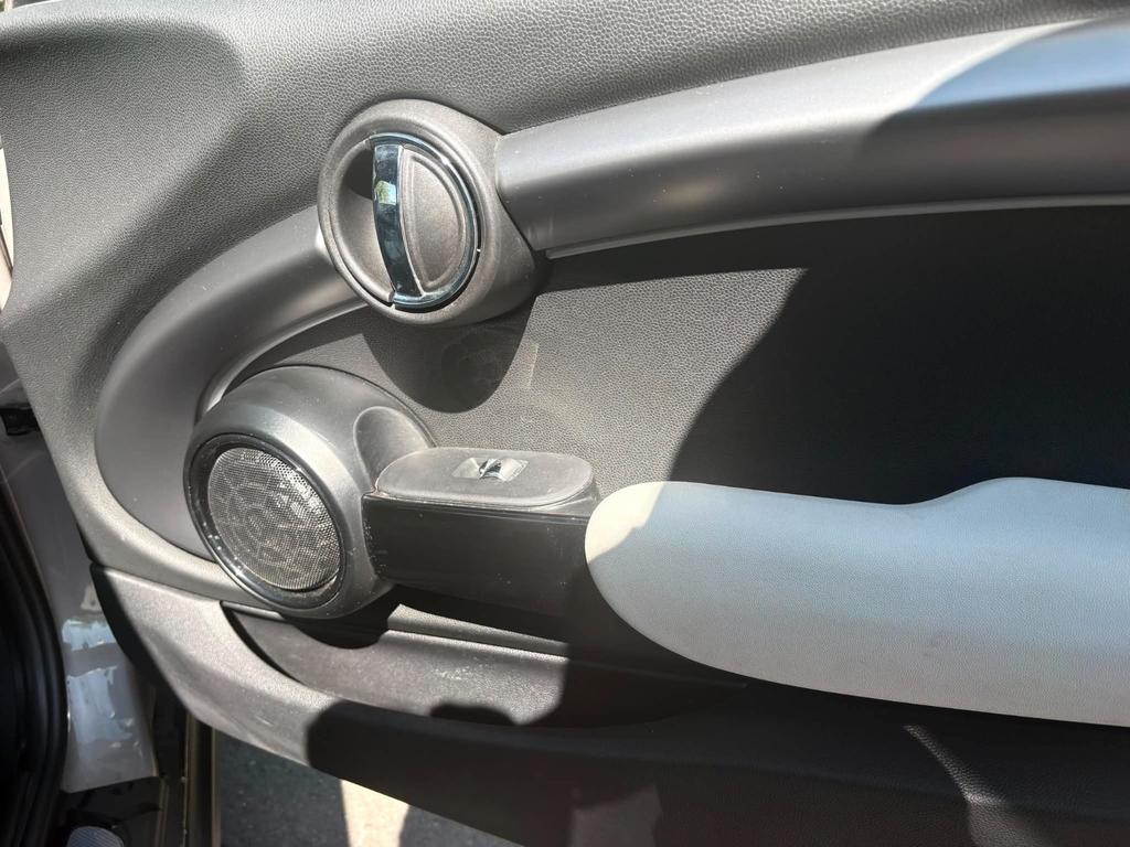 Mini Mini Electric