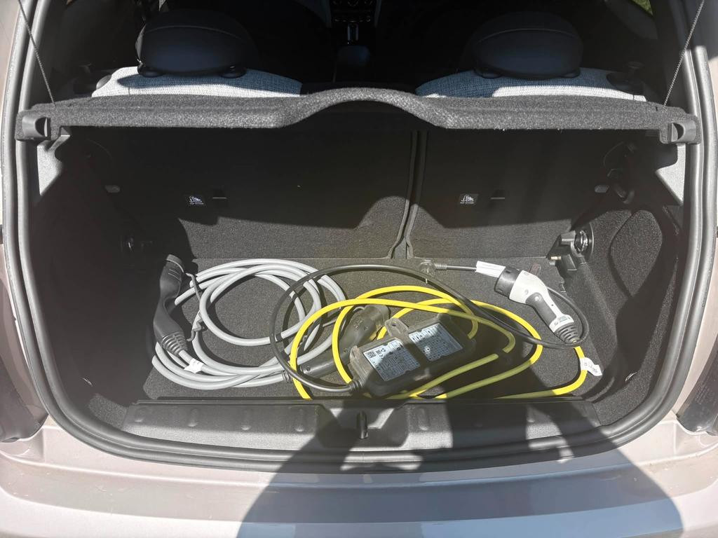 Mini Mini Electric