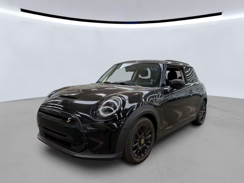Mini Mini Electric