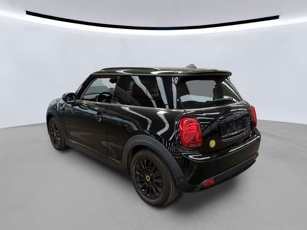 Mini Mini Electric