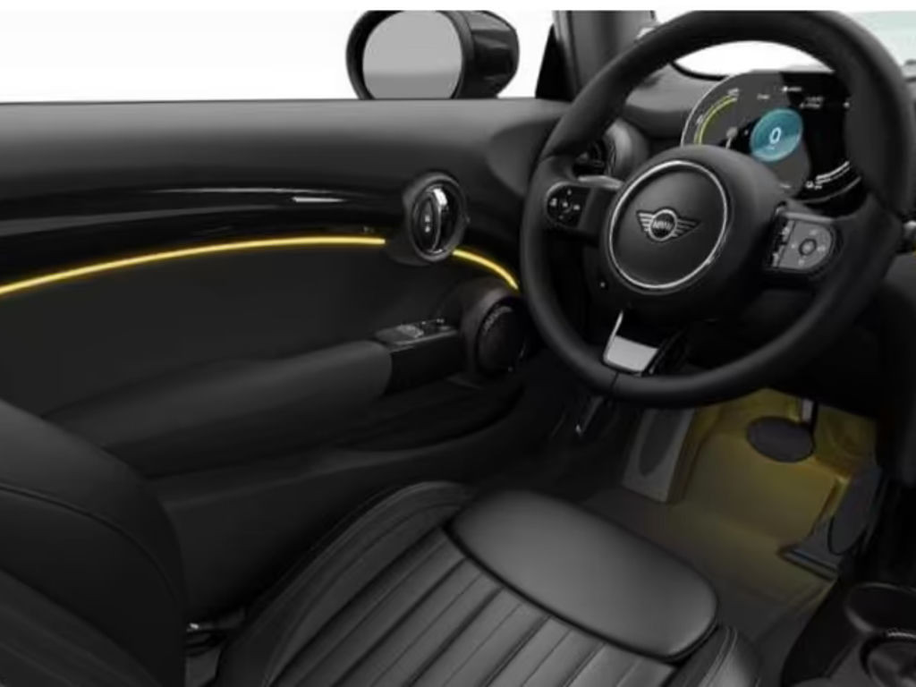 Mini Mini Electric