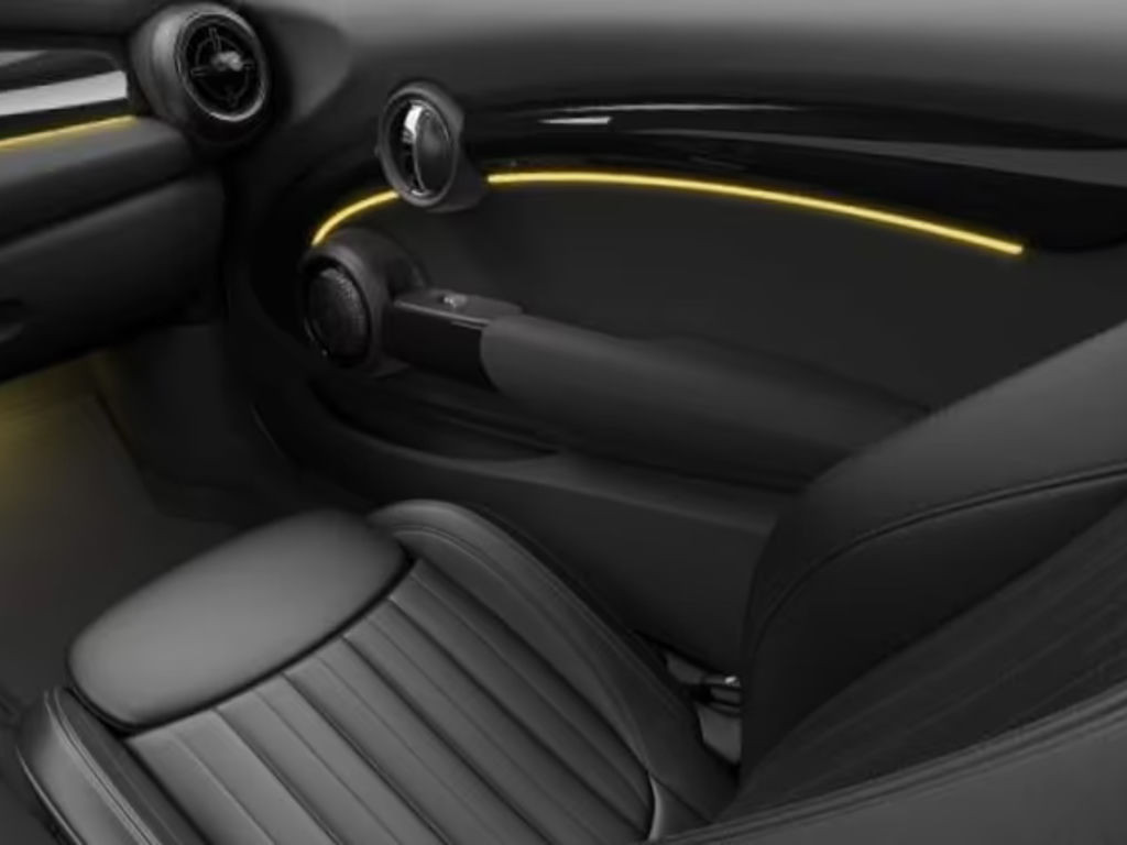 Mini Mini Electric