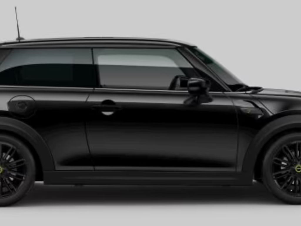 Mini Mini Electric